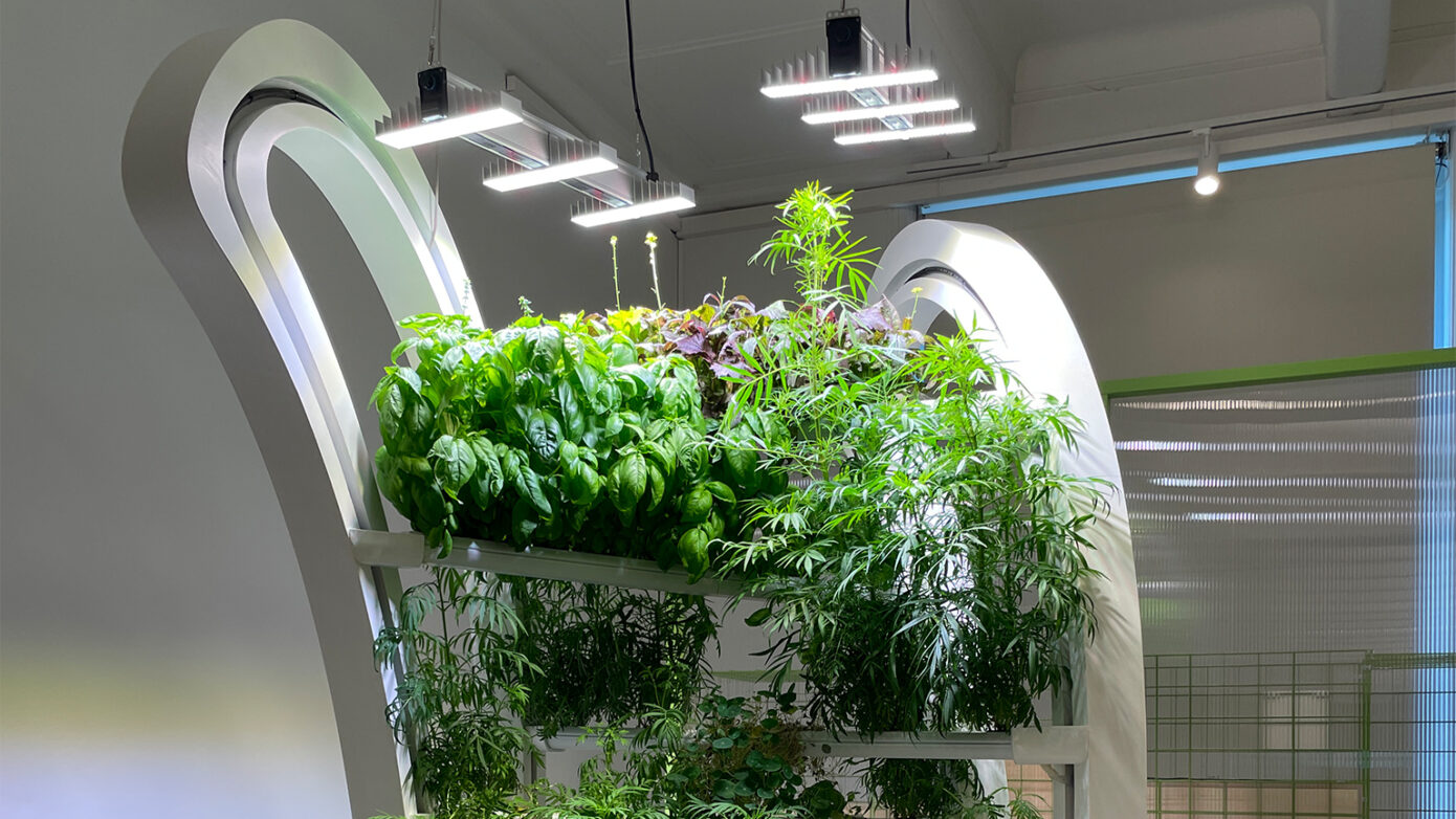 ALINA :: The Vertical Farm Sculpture - Vertical Farm Institute