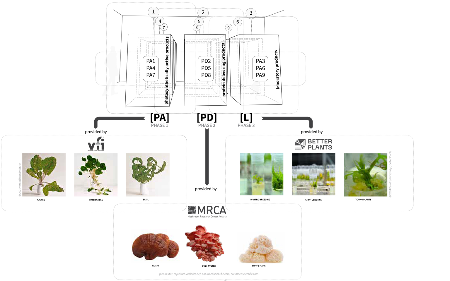 Phase 1, 2 and 3 - Plants of CEA controlled environment agriculture