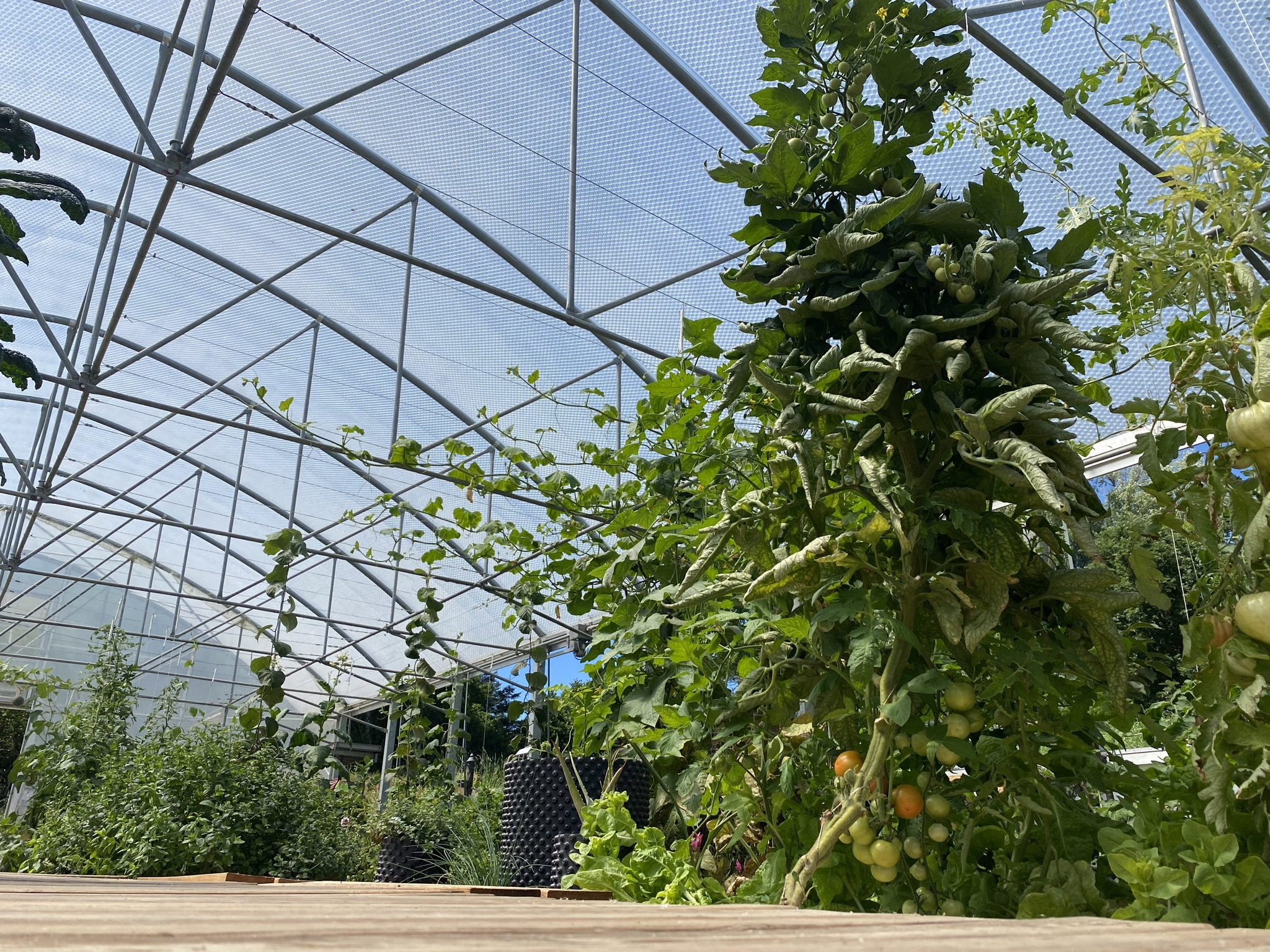 Aquaponic Showcase Peter Neudecker, Andersfarm, Hochstraß